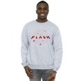 thumbnail image 2 of DC Comics Hommes le Sweat Flash Multivers Anneaux, 2 of 3