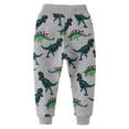 thumbnail image 3 of WhouRiu Boys' Pants Cartoon Dinosaur Prints Stretch Waist Joggers Pants Kids Active Casual Sports Sweatpants Gray,Sized 1-2, 3 of 6