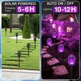 thumbnail image 2 of Baokaler 6-Pack Solar Outdoor Lights for Garden Decor W/Flickering Flame, Waterproof Tiki Torches Solar Flame Torch for Outside Pathway Patio Yard Porch - Auto On/Off, Purple, 2 of 8