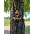 thumbnail image 2 of Red Carpet Studios 49012 Face Extérieure de l'Arbre Billy, 2 of 4