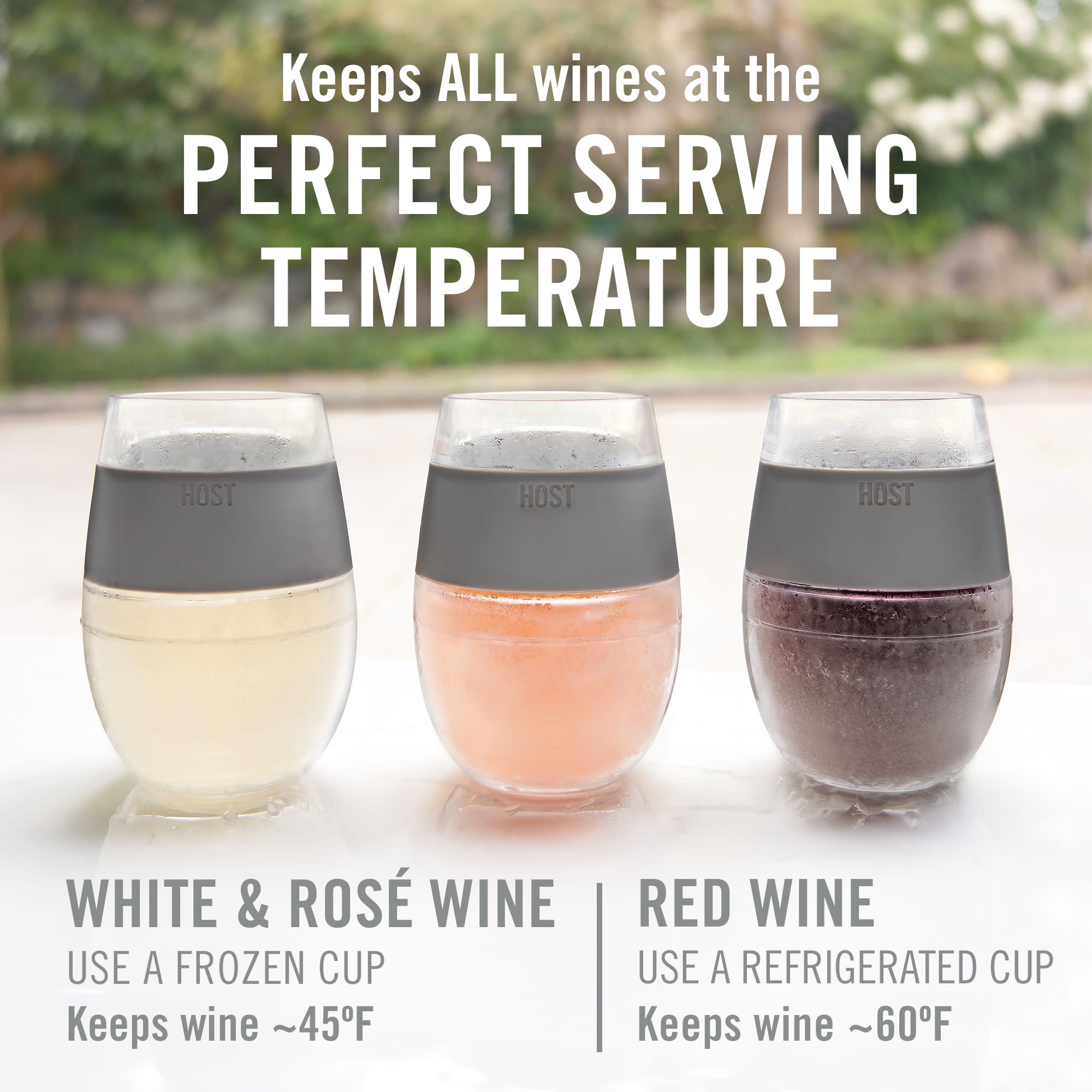 Host Plastic Double Wall Insulated Wine Freeze Cup Set - Wine Glass, 8.5 oz Grey - image 4 of 26