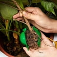 thumbnail image 3 of Air Layering Pods, Reusable Propagation Ball With Secure Lock, Promoting Faster Initial Rooting Without Damaging The Parent Plant, Ideal For A Variety Of Indoor And Outdoor Trees (20PCS), 3 of 5