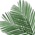 thumbnail image 2 of Jensen, Mia 12x12 White Modern Wood Framed Museum Art Print Titled - Palm Green I, 2 of 4