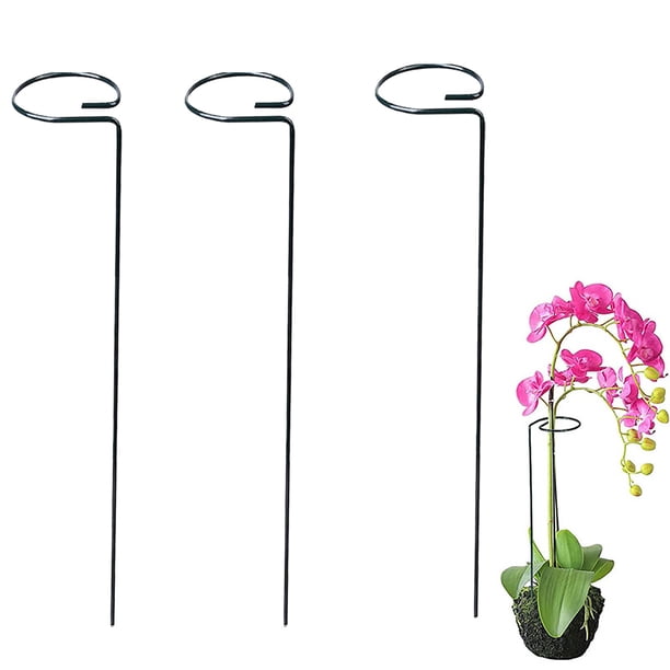 Marco de Metal para Trepar Plantas | Poste de Hierro para Jardín, para Vides, Flores y Hortalizas | Soporte para Plantas Verdes de 40 Cm | Uso Interior/Exterior | Paquetes de 1/2/3/6/10 Unidades