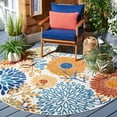 thumbnail image 1 of SAFAVIEH Cabana Garnet Floral Outdoor Area Rug, 1 of 9