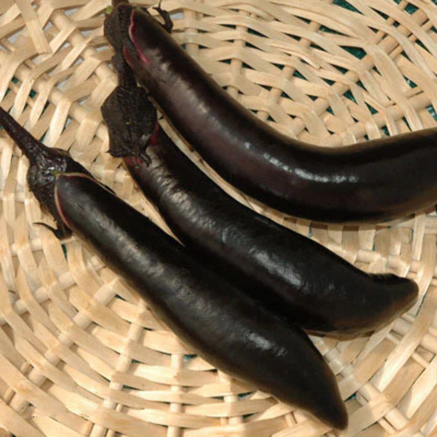 bf4888c3-b30a-40b6-ad7c-