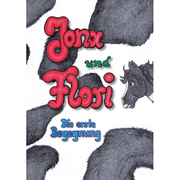 Jona und Flori: Die erste Begegnung, (Paperback)