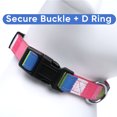 thumbnail image 5 of Pawtitas Multicolor Dog Collar XSmall Pink / Teal / Green, 5 of 7