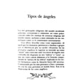 thumbnail image 4 of Libro Tú En El Camino De Los Angeles Rituales Oraciones Angelical, 4 of 9