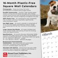 thumbnail image 5 of Bulldog Puppies | 2026 12x24" (Hanging) Wall Calendar | Plastic-Free | BrownTrout, 5 of 8