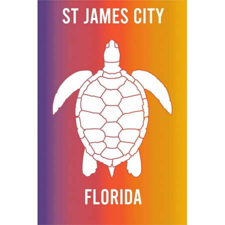 

St James City Florida Souvenir 2x3 Inch Fridge Magnet Turtle Design