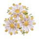 thumbnail image 4 of CRILSTYLEO De Aleación Amarillo Para Mujer En Y Celebraciones, 4 of 7
