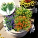 thumbnail image 4 of Billuyoard Ramo de eucalipto de siete puntas Flores artificiales decoraciones de flores, 4 of 6
