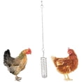 thumbnail image 3 of Bird Food Holder,Feeder Toy,Small Animal Fruit Vegetable Holder,Stainless Steel Skewer Foraging,Hanging Food Feed Treating Tool,for Parrots,Cockatoo Spring, 3 of 10
