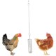 thumbnail image 3 of de Verduras para Pájaros, Soporte para Comida de , Juguete Alimentador Colgante de Verduras para Mascotas, Juguete de Forrajeo de material acero I - Primavera Colco Alimentador de alimentos para loros de aves, 3 of 8