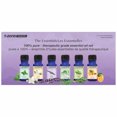 thumbnail image 1 of T-Zone Coffret de 6 Huiles Essentielles pour la Santé, 1 of 8