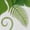 White-2, variant on Women's Monstera Leaves Skeleton Ribcage Graphic Short Sleeve T-Shirt Botanical Plant Lover Crewneck Cotton Tee