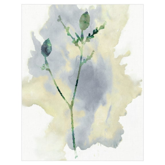 Wildflower Lyrical by Tania Bello Abstract Floral Canvas Art