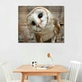 thumbnail image 2 of Nawypu  - Canvas Wall Art - Common Barn Owl (Tyto Albahead) Head Close Up - Gallery Wrap Modern Home Art | Ready to Hang, 2 of 4