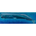 thumbnail image 3 of Atelier B Art Studio 18x8 Black Modern Framed Museum Art Print Titled - Sperm Whale, 3 of 5
