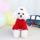 thumbnail image 4 of onlyliua Liquidación de Rebajas de Hoy Nueva y Bonita Falda para Perro Mascota, La Falda de Lana para Perro Pomerania Bichon Se Mantiene Abierta, 4 of 6