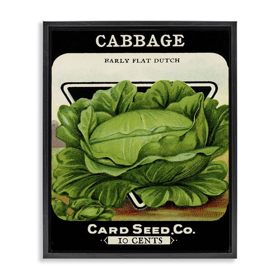 Stupell Industries Traditional Vintage Gardening Cabbage Black Floating Frame Canvas Art, 17 x 21, by Lil' Rue
