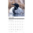 Willow Creek Press, Loons 2025 Wall Calendar