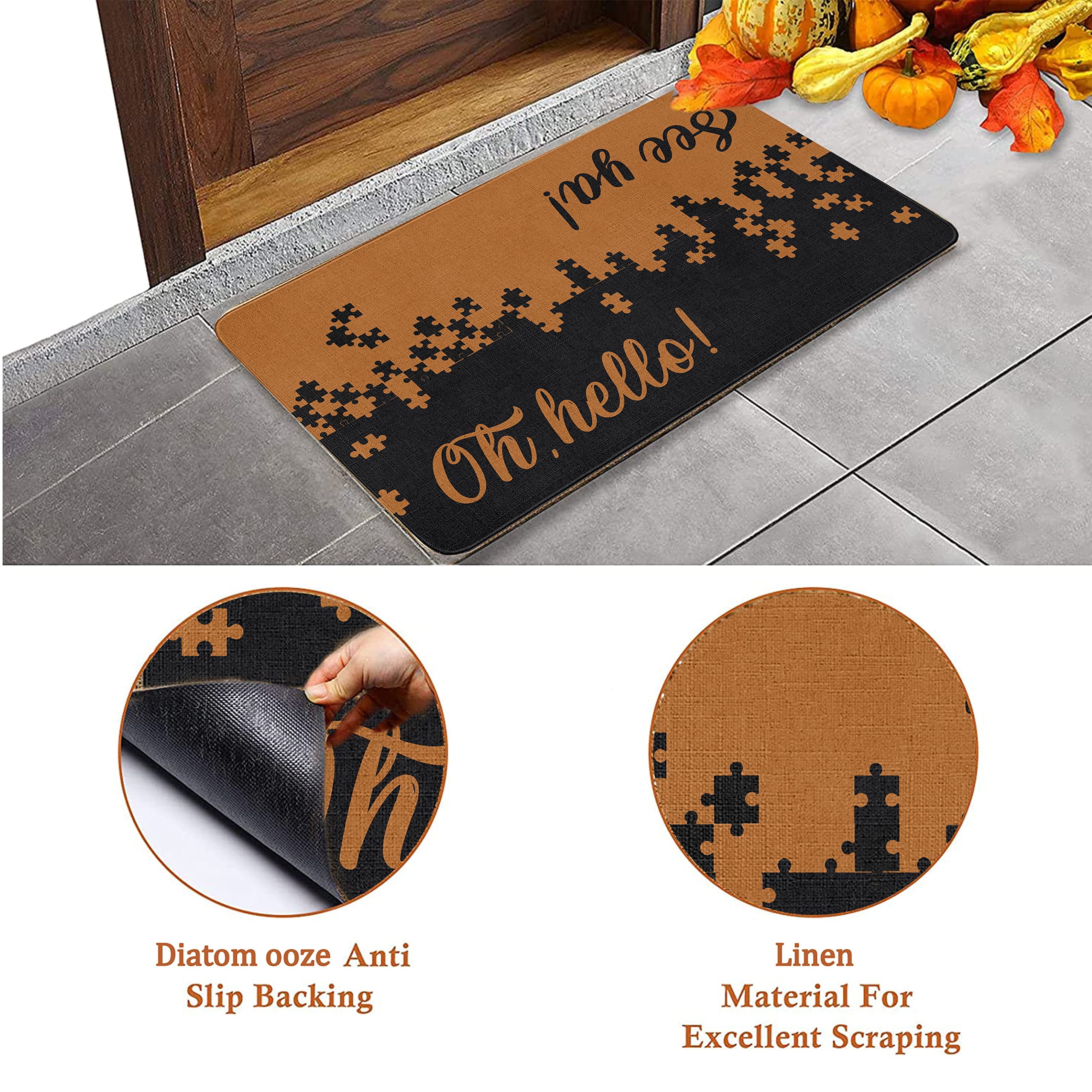 Hello Door Mat Outdoor Entry Rug, Waterproof Door Mat for Inside Entryway  Decor, Funny Welcome Mat Outdoor with Cute Text and Pattern for Home Decor  or Dog Mat for Muddy Paws, 30x17Indoor