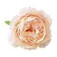 thumbnail image 2 of pstuiky Cabeza de flor de simulación cabeza de flor de seda decoración DIY material de flor falsa hecha a mano decoración de flores de simulación, 2 of 7