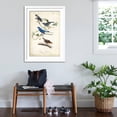 thumbnail image 3 of Art.com Indigo Bunting Art Print by John James Audubon, White Frame Wall Art, 32" x 44", 3 of 5