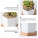 thumbnail image 2 of 4 juegos de macetas hexagonales blancas de cerámica para plantas suculentas., 2 of 8