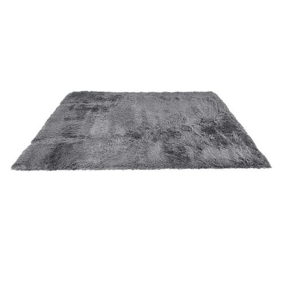 Resenkos Rugs,4x6 Feet Modern Soft Shag Rug with Non-slip Grip Dots