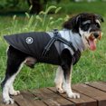 thumbnail image 4 of Lucoss Winter Dog Coat with integrated harness No Pull Cold Weather Waterproof Warm Fleece Back Zipper for Small & Medium Dog, 4 of 5