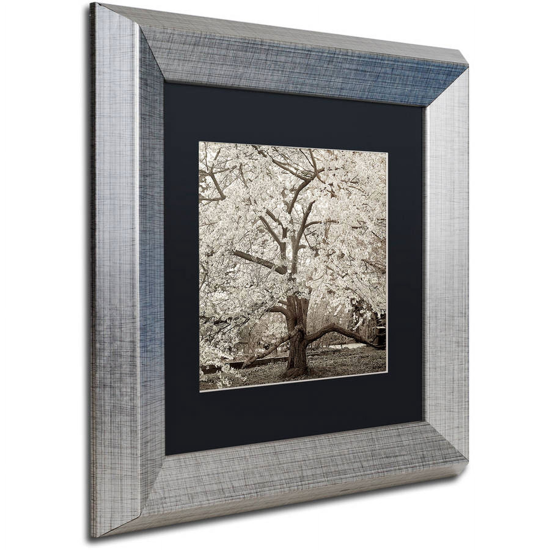 Trademark Fine Art "Hampton Magnolia II" Canvas Art by Alan Blaustein, Black Matte, Silver Frame