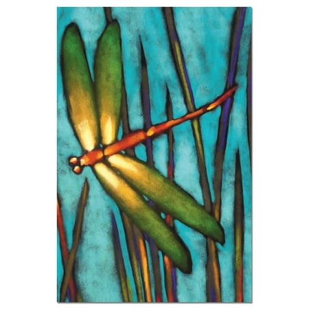- Tree-Free Greetings Beautiful Dragonfly Boxed ECOnotes Blank Note Cards-FS66501