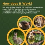 USDA Certified Organic MolEvict Lawn Mole Castor Oil - Lawn & Garden Protection - Gallon