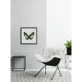 thumbnail image 3 of Marmont Hill Butterfly Butterflies Framed Art Prints, 3 of 6