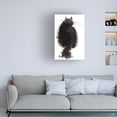 thumbnail image 3 of Elena Bolgova 'Black Back' Canvas Art, 3 of 3