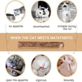 thumbnail image 2 of Silvervine Chew Sticks, Natural Catnip For Improved Oral Health And Digestion, Promoting Happiness In Your Cat, 2 of 7