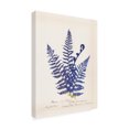 thumbnail image 2 of Wild Apple Portfolio 'Botanical Fern IV Blue' Canvas Art, 2 of 3