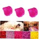 thumbnail image 4 of UPGRATOR 500Ud Violetas Reutilizables Para De Bodas Y Celebraciones Especiales, 4 of 6