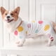 thumbnail image 3 of Pijamas para perros mono a rayas para mascotas, ropa para perros de algodón suaveEstampados solares, 3 of 5