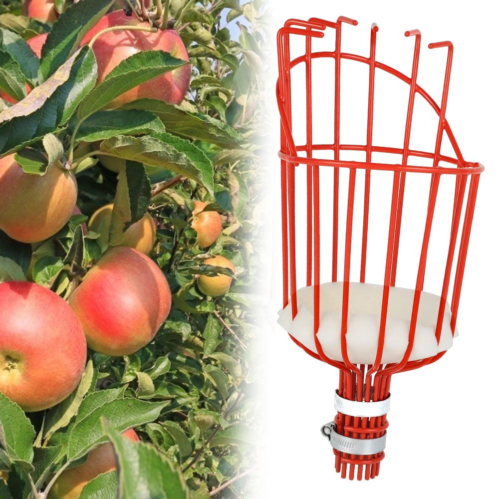 Cueilleur De Fruits Avec Panier - Outil De Récolte Pour Arbres, Métal Et Nylon, Idéal Pour Avocats, Poires, Pêches - 5