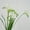 W, variant on Artificial Freesia Flowers - 3-Pack Plastic Simulated Plants for Home Decor, Perfect for Living Room, Holiday Decorations, and Special Occasions