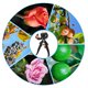 thumbnail image 5 of Bearachild Juego de podadoras de injerto de jardín, tijeras de podar de árboles frutales para agricultura, máquina cortadora de árboles frutales para Jardín y Patio No.01, 5 of 6