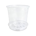 thumbnail image 2 of KGJQ Clear Plastic Orchid Pot with Saucer, Plant Pot with Drainage Holes, Ventilated Flower Pot for Rose, Phalaenopsis, Seedings, 2 of 7