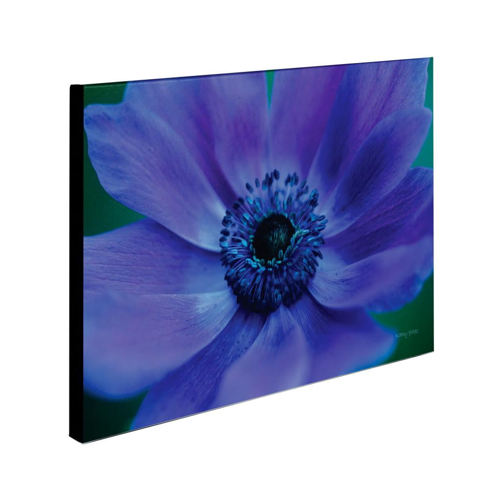 Trademark Fine Art 'Beautiful Anemone' Canvas Art by Kathy Yates