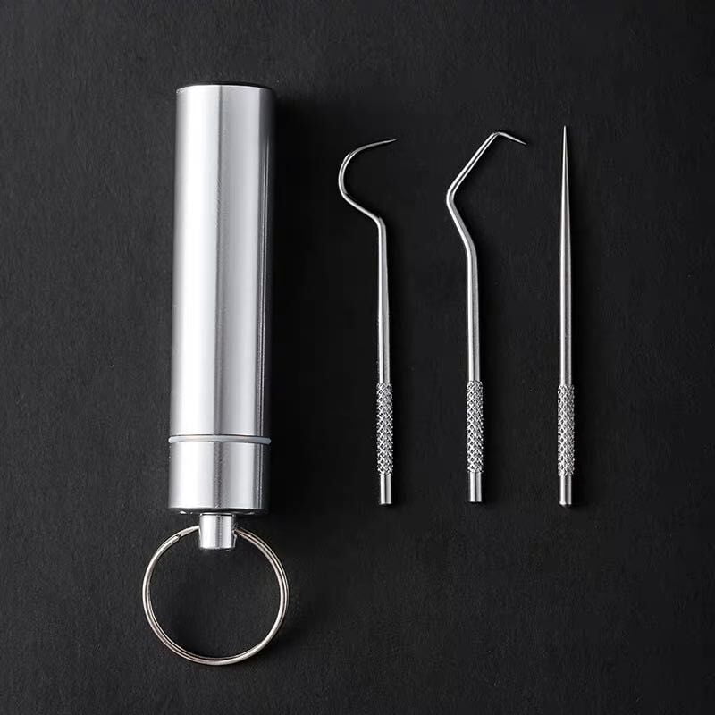 1, Black Portable Titanium Toothpicks Pocket Set Reusable Metal Toothpicks with Holder for Outdoor Picnic and Camping 