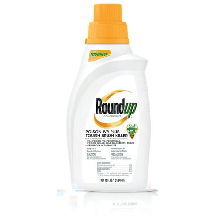 Roundup Concentrate Poison Ivy Plus Tough Brush Killer (32 oz. (Best Way To Kill Poison Ivy)