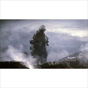 The Return of Godzilla (DVD)